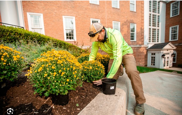 Landscaping